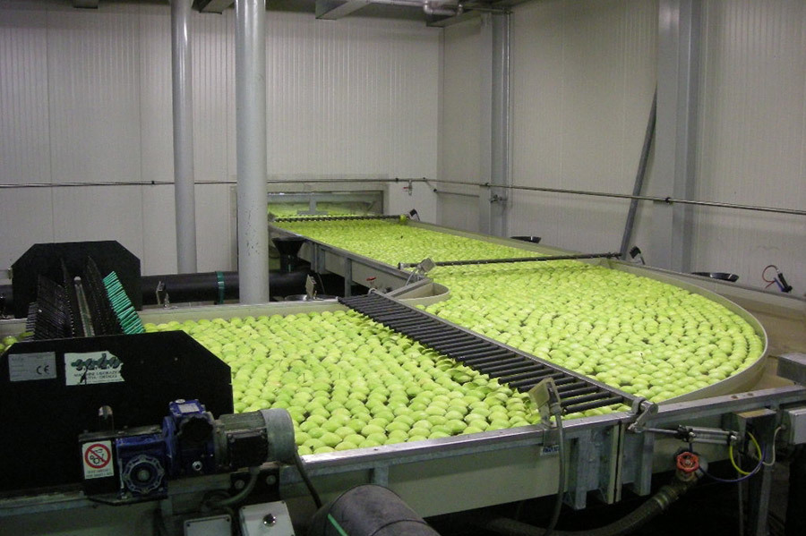 Industrial refrigeration, apples, PDF industrial unit coolers, Italy