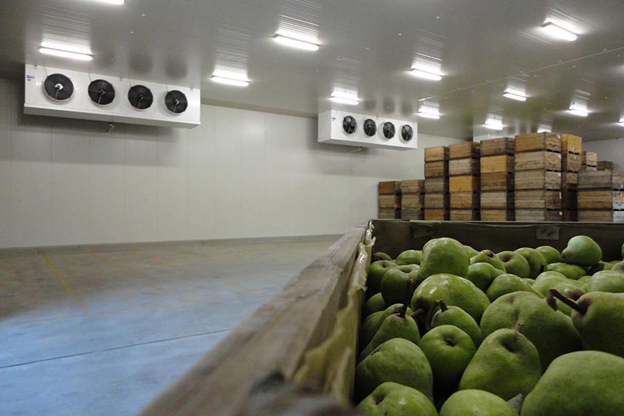 Fruit warehouse, Australia